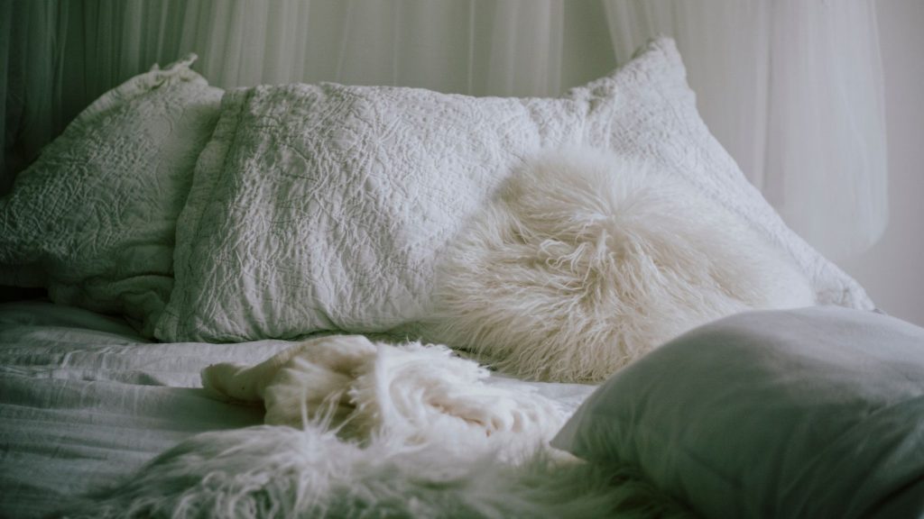 Chambre apaisante propice à un sommeil réparateur