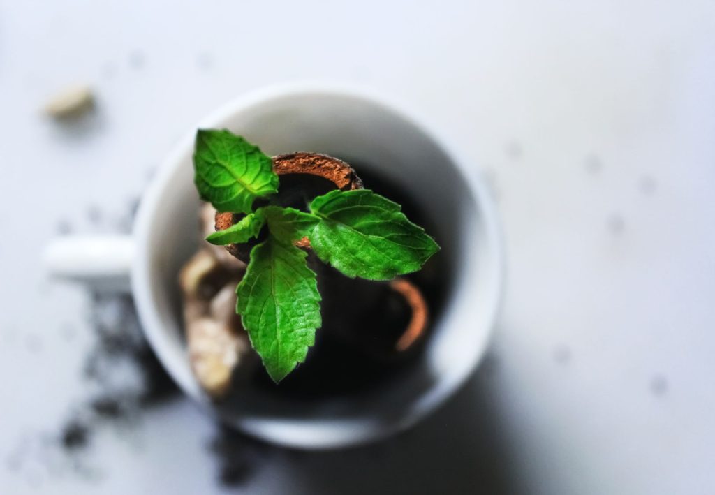 Tasse de tisane à la menthe posée sur une table, remède naturel apaisant pour l'intestin